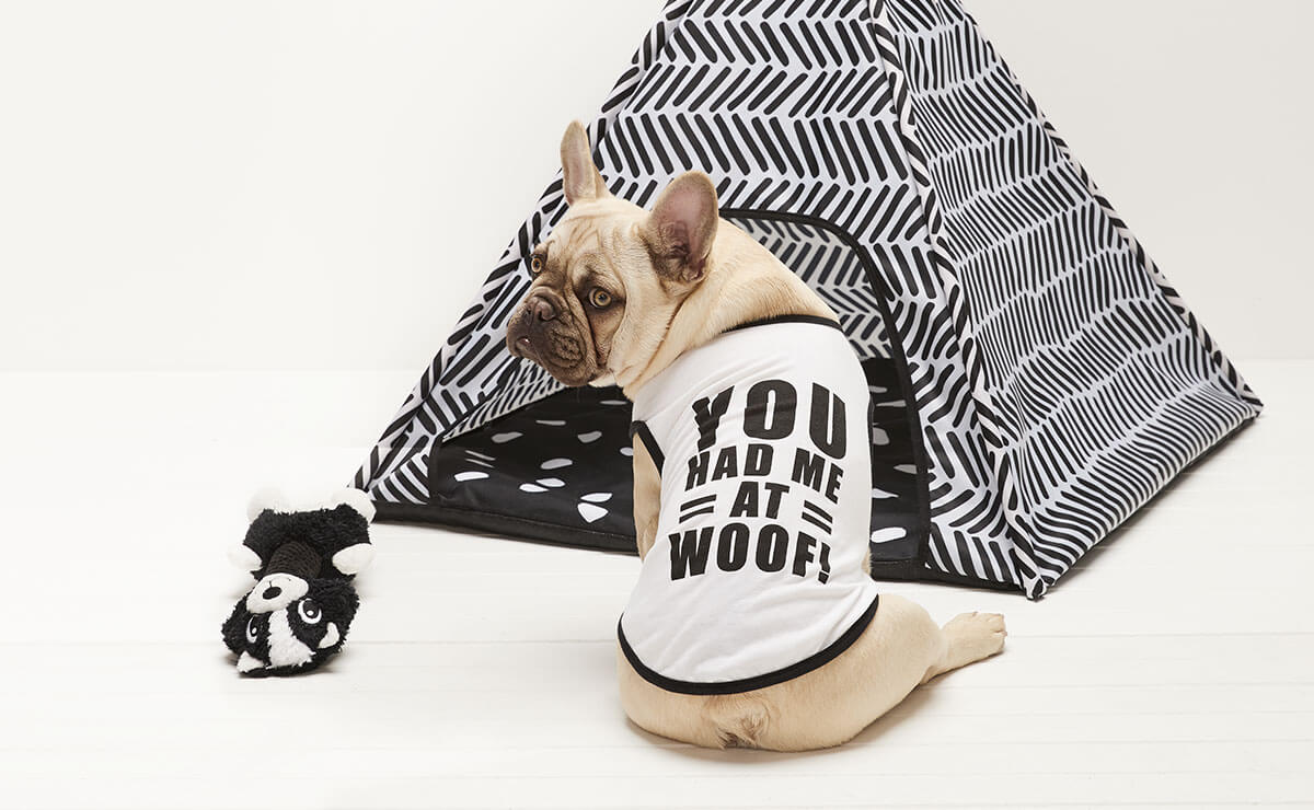 Dog Accessories & Dog Supplies Kmart