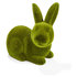 kmart plush bunny