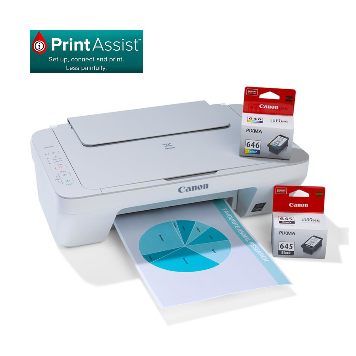 Canon MG2460 Printer Kmart