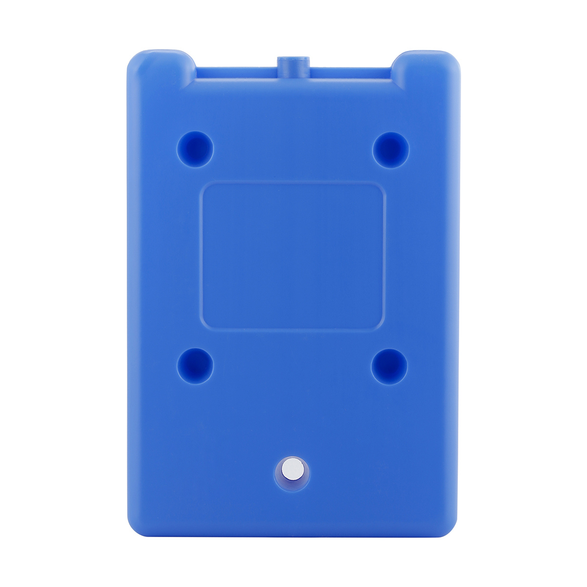 Ice Brick Large Kmart