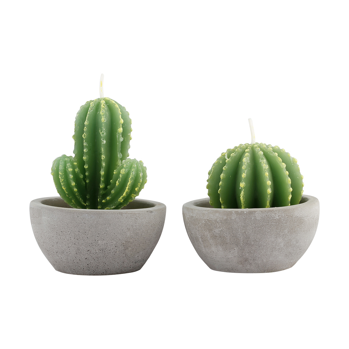 Cactus Candle - Assorted