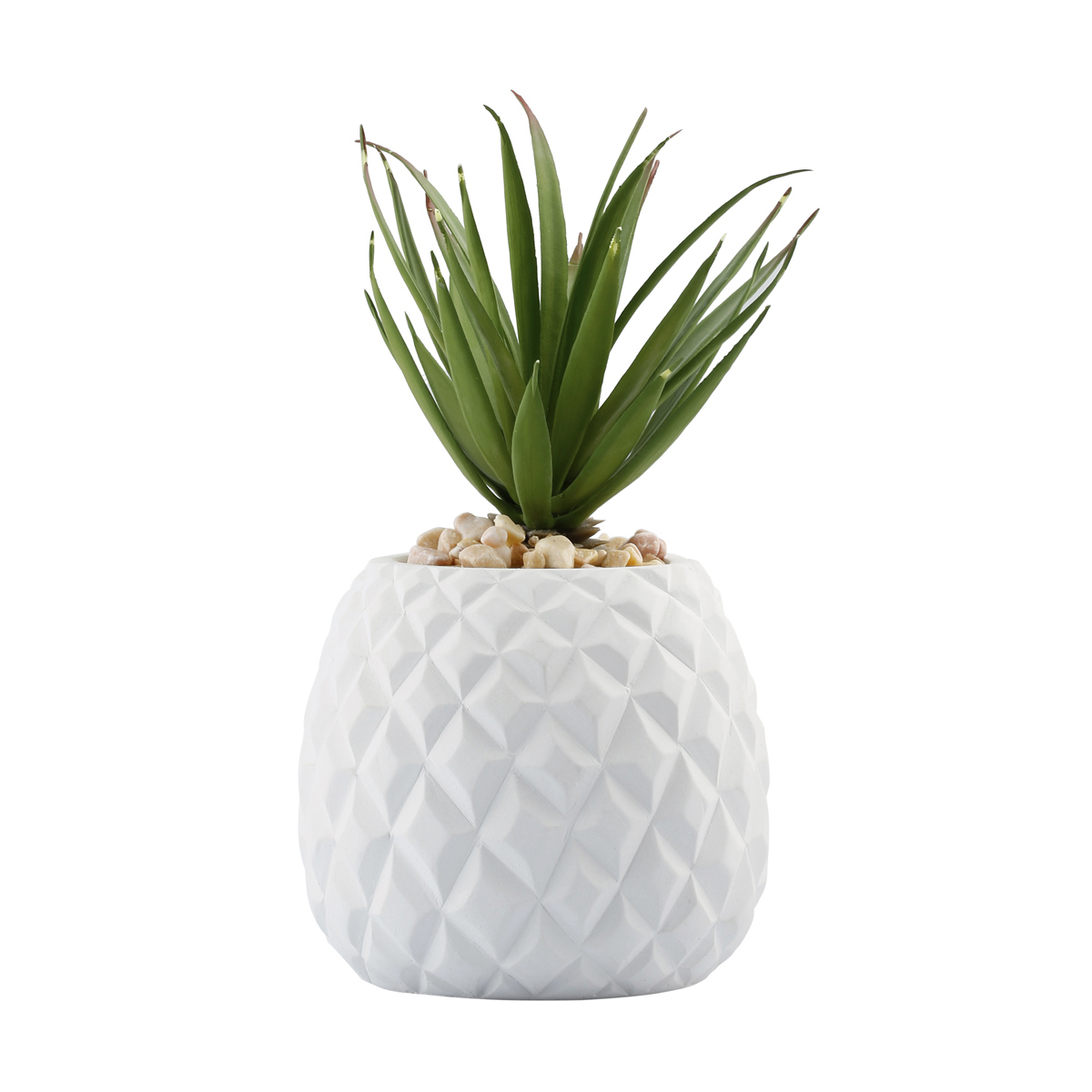 Large Pineapple Plant Kmart