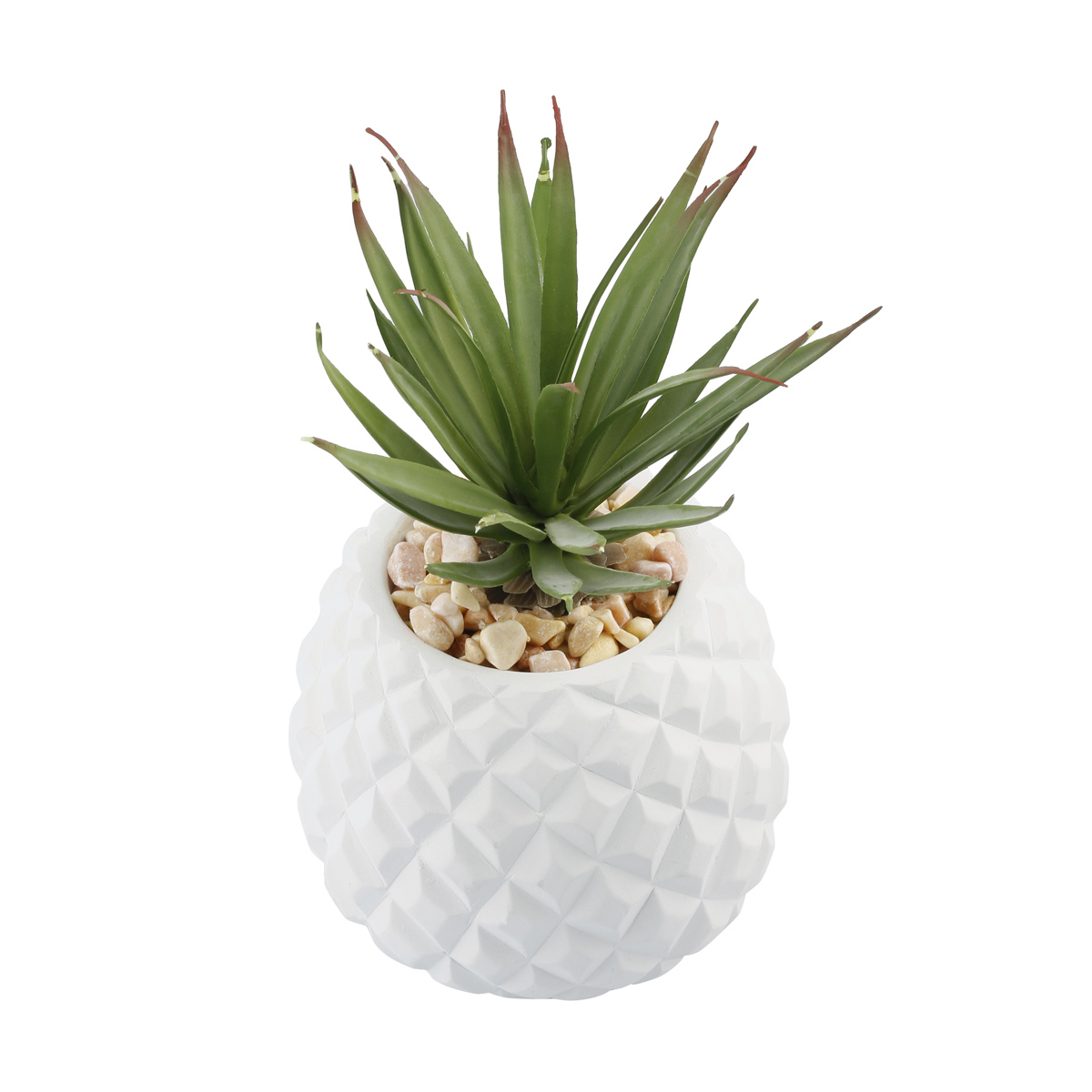 Large Pineapple Plant Kmart