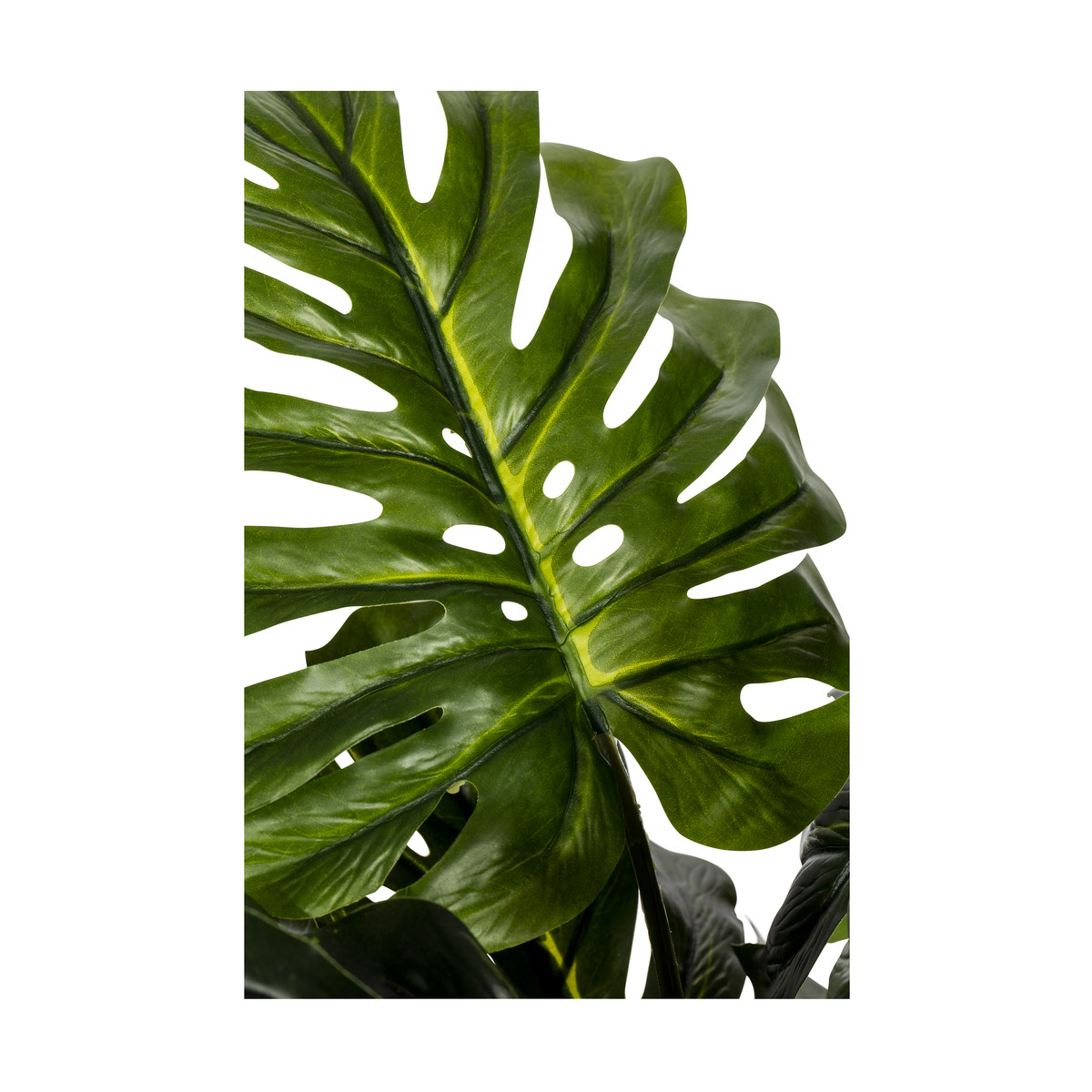 Monsteria Artificial Plant Kmart