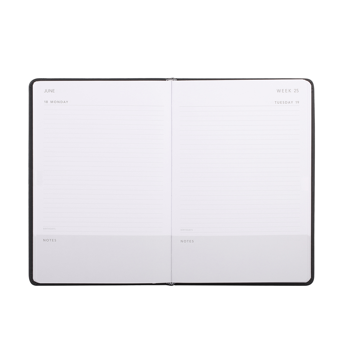 A5 Daily Diary with Silver Look Foil Kmart