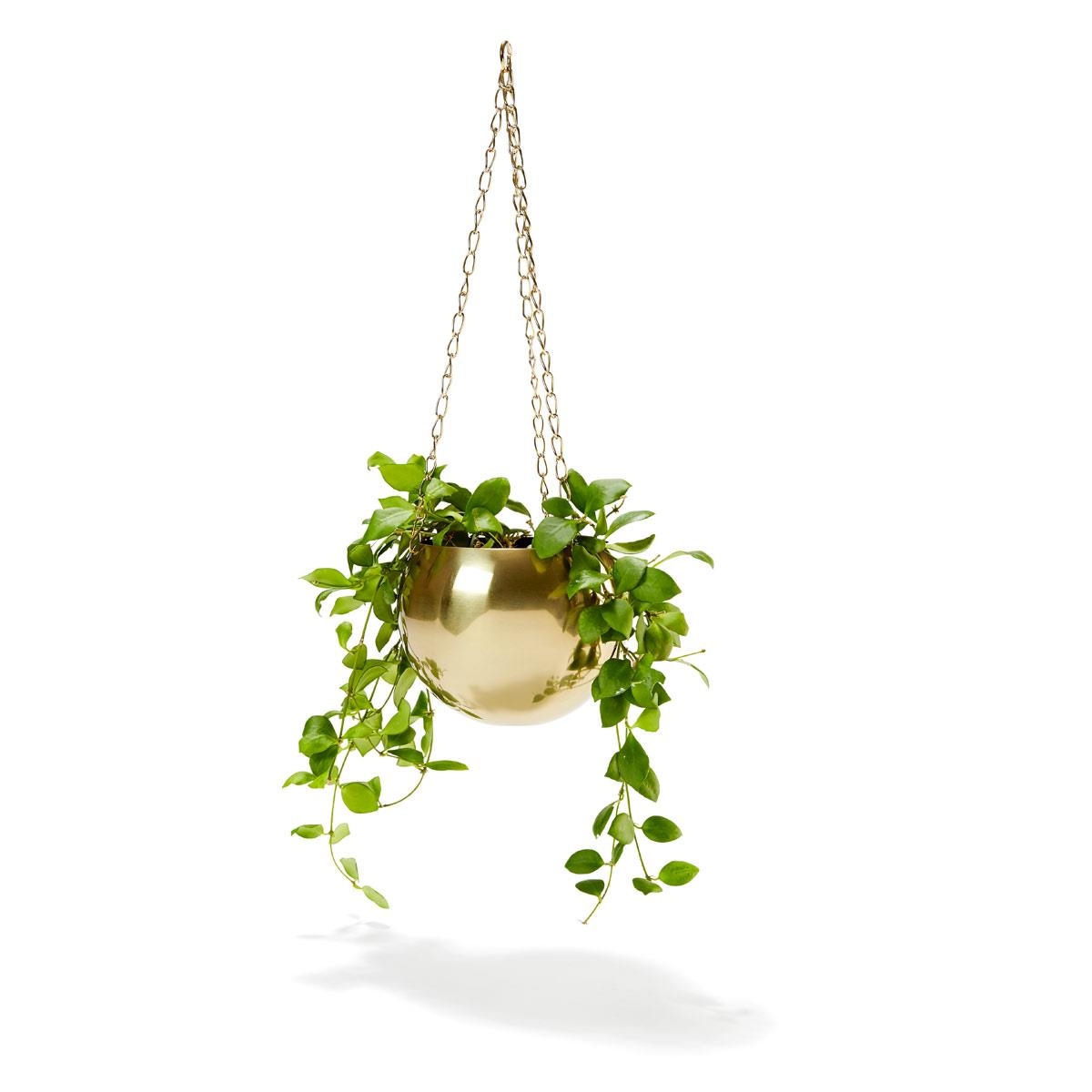 Brass Plated Hanging Planter