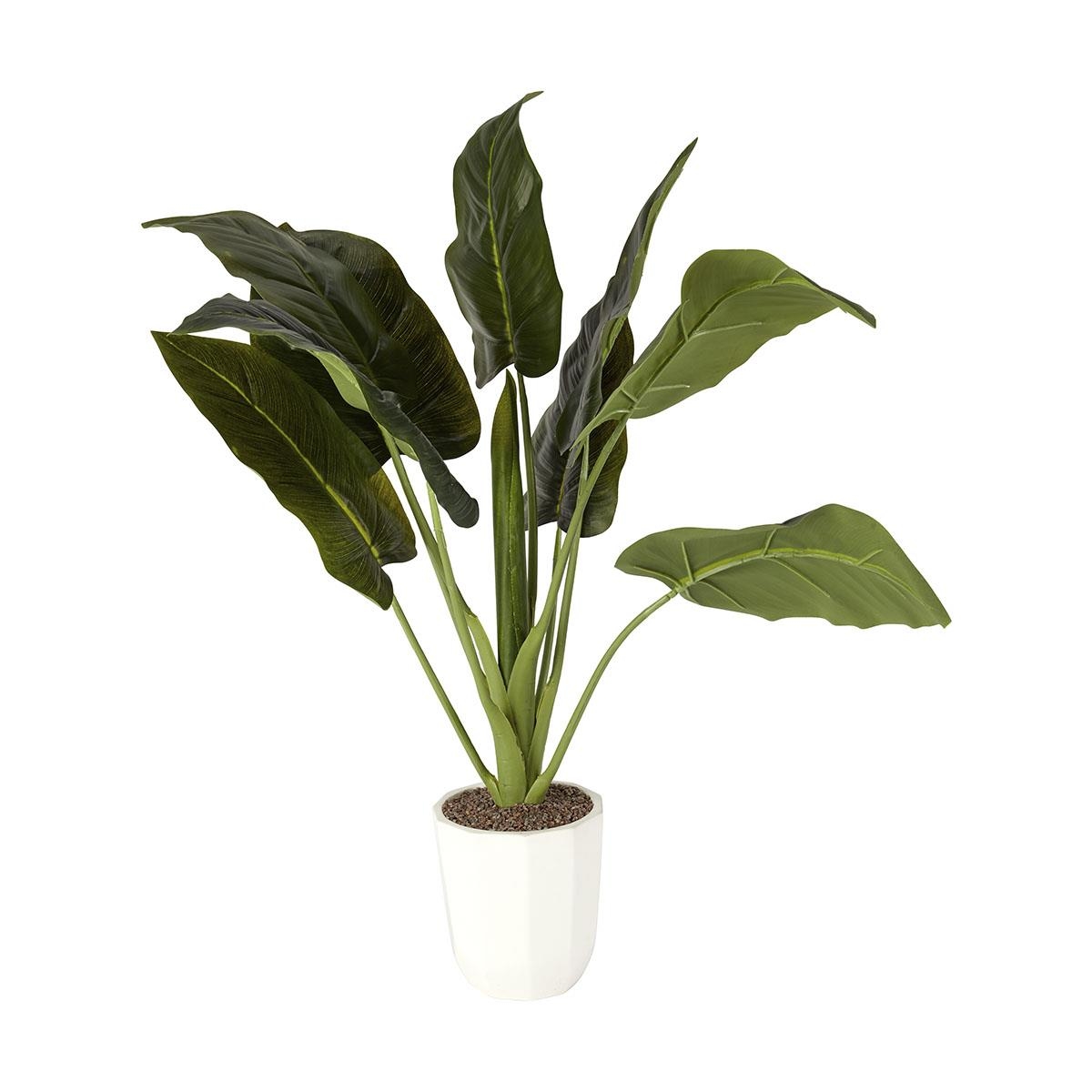 Tall Artificial Plants Kmart at Michael Line blog