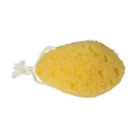 Bath Sponge | Kmart
