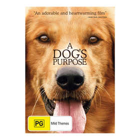 a s purpose dvd a s purpose dvd kmart a s purpose dvd a s purpose dvd kmart