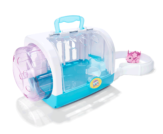 water wheel toy kmart