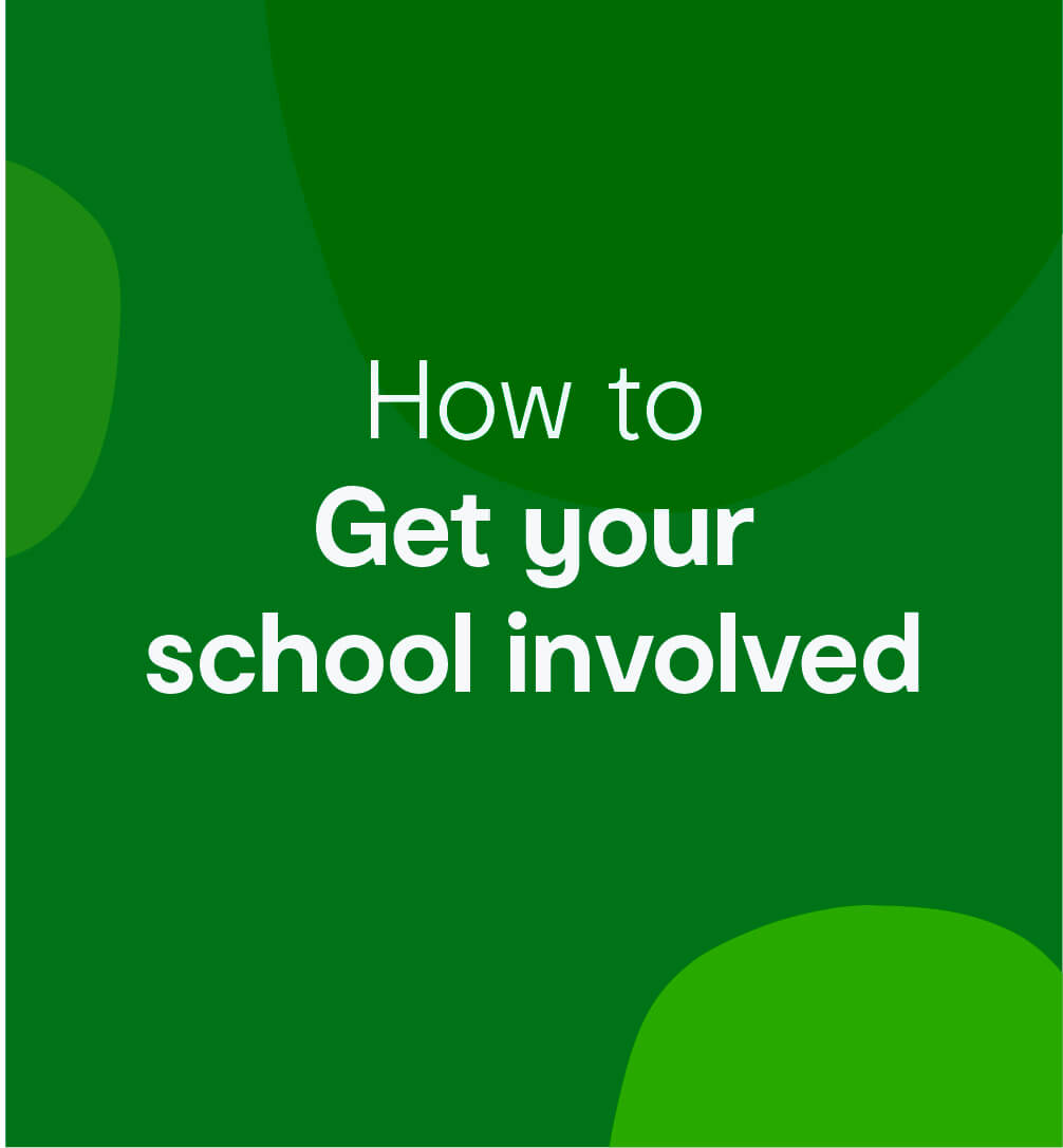 Kmart Wishing Tree Kmart