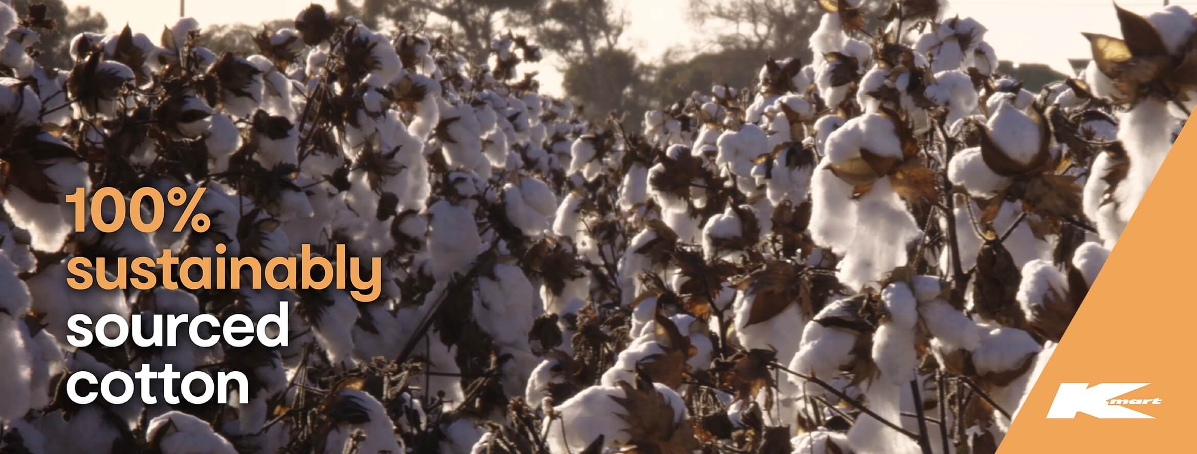 Cotton - Kmart