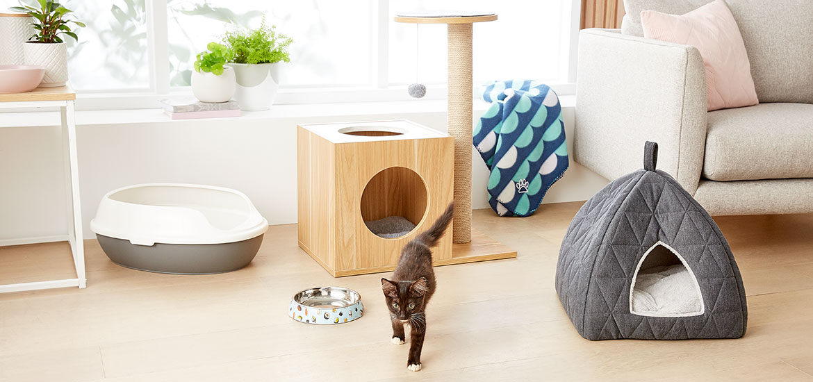 essentials cat checklist kmart kitty litter igloo tray