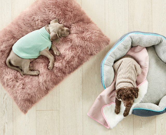 Kmart Toys, Furniture, Bedding & more Online Shopping Australia