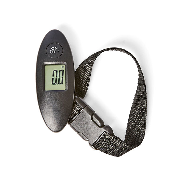 travel scales kmart