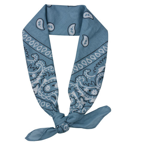 barjo tailgate guard