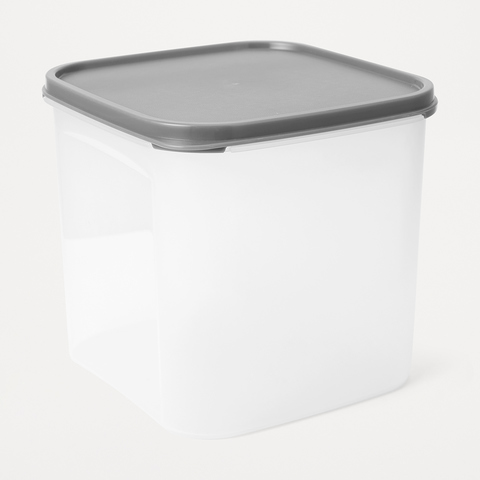 4l Dry Food Storage Container Kmart, Clear Storage Containers Kmart