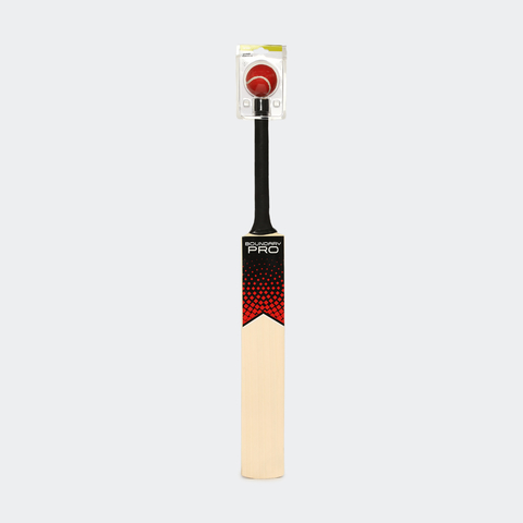 cricket set kmart