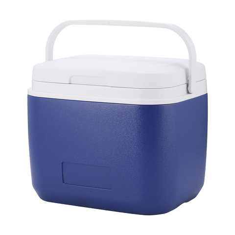 kmart ice box