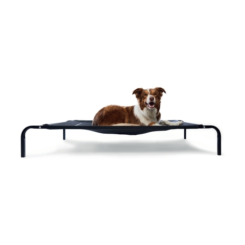 cheap raised dog beds