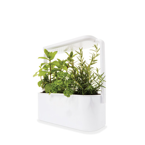 Herb Garden Set White Kmart, Indoor Herb Garden Kit With Light Australia