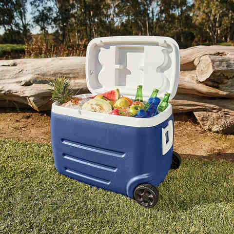 kmart cooler