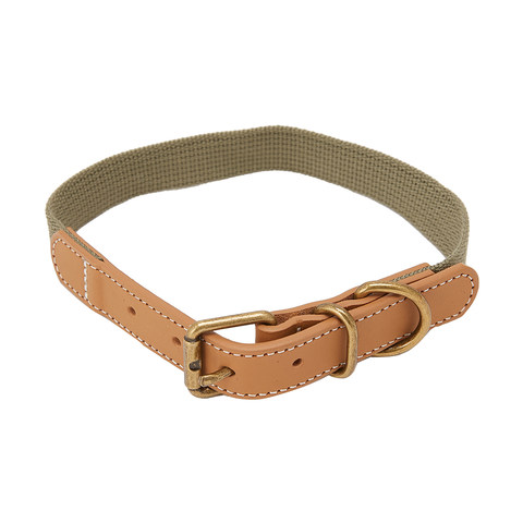 kmart dog collars