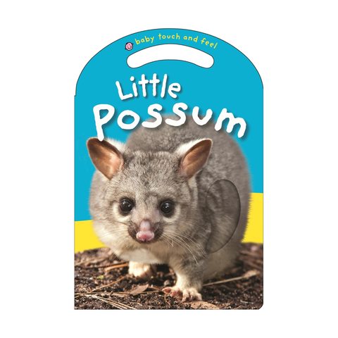 Little Possum