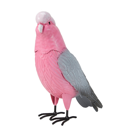 Metal Galah | Kmart