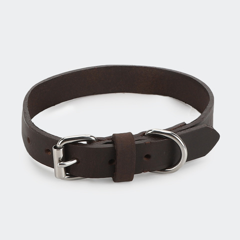 kmart dog collars