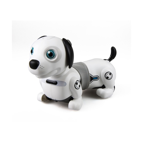 remote control dog kmart