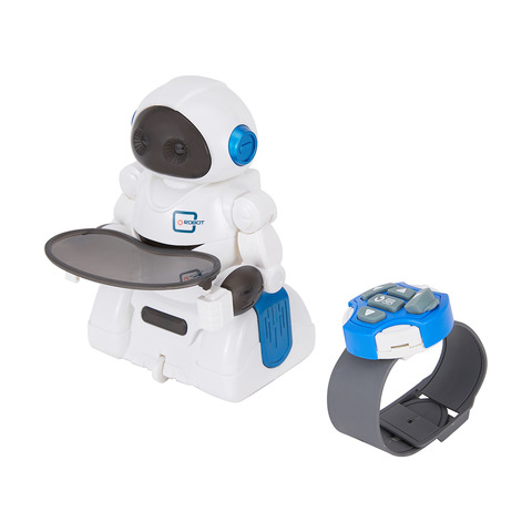 smart remote control robot