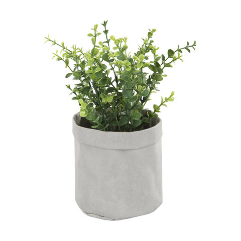 Plant bags kmart clearance