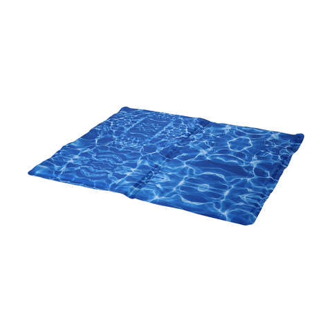 frozen cooling mat