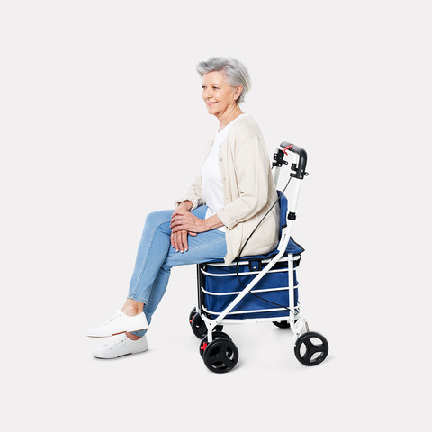 shopping trolley with fold down seat