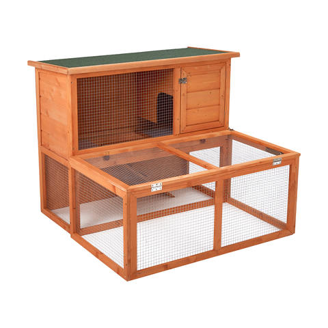 guinea pig starter kit kmart