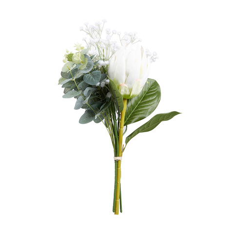 Protea Flower Kmart - Best Flower Wallpaper