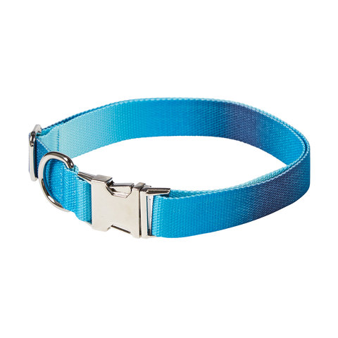 teal puppy collar