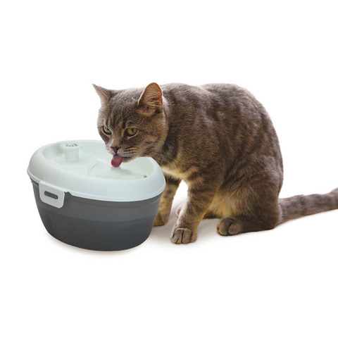 Pet Drinking Fountain | Kmart