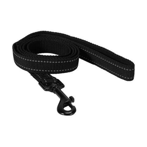 coon hunting dog supplies