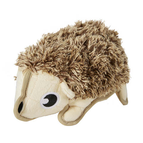 hedgehog supplies store