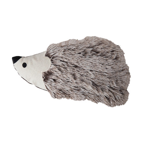hedgehog supplies store