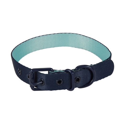dog collars kmart