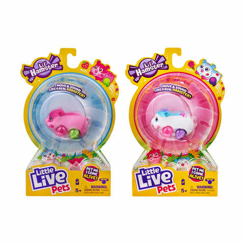 little live hamster
