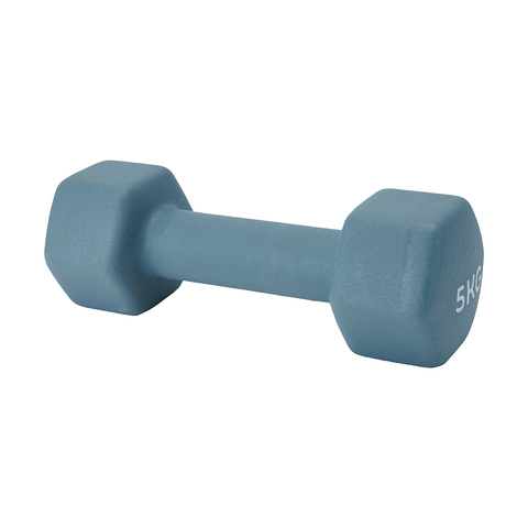 5kg Dumbbell | Kmart