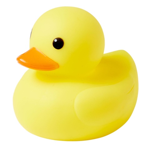 Rubber ducks kmart top