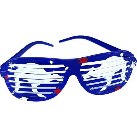 Australia Day Novelty Glasses Kmart