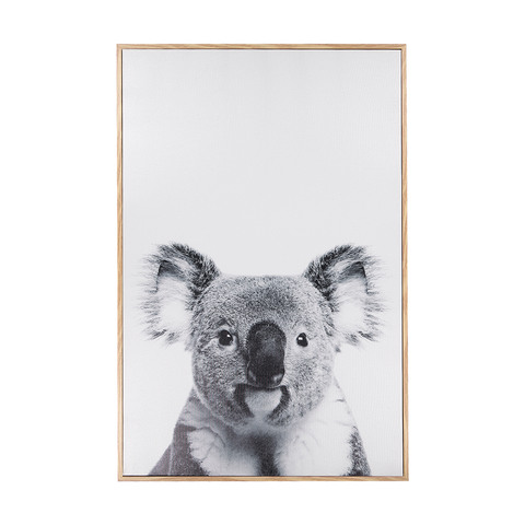 koala toy kmart