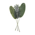 Large Single Leaf - Assorted*
