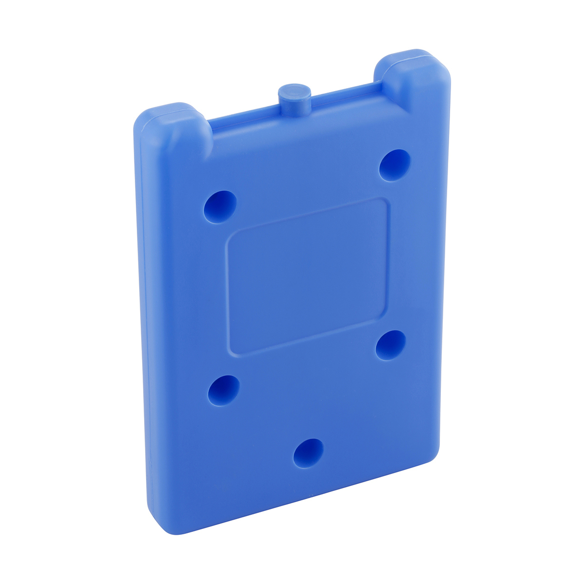 Ice Brick Large Kmart